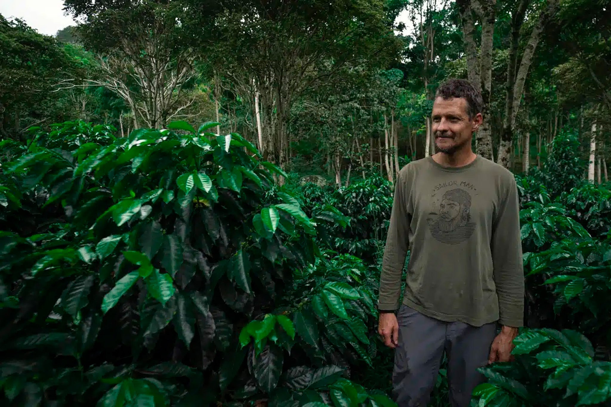 Ecuador Coffee Guide