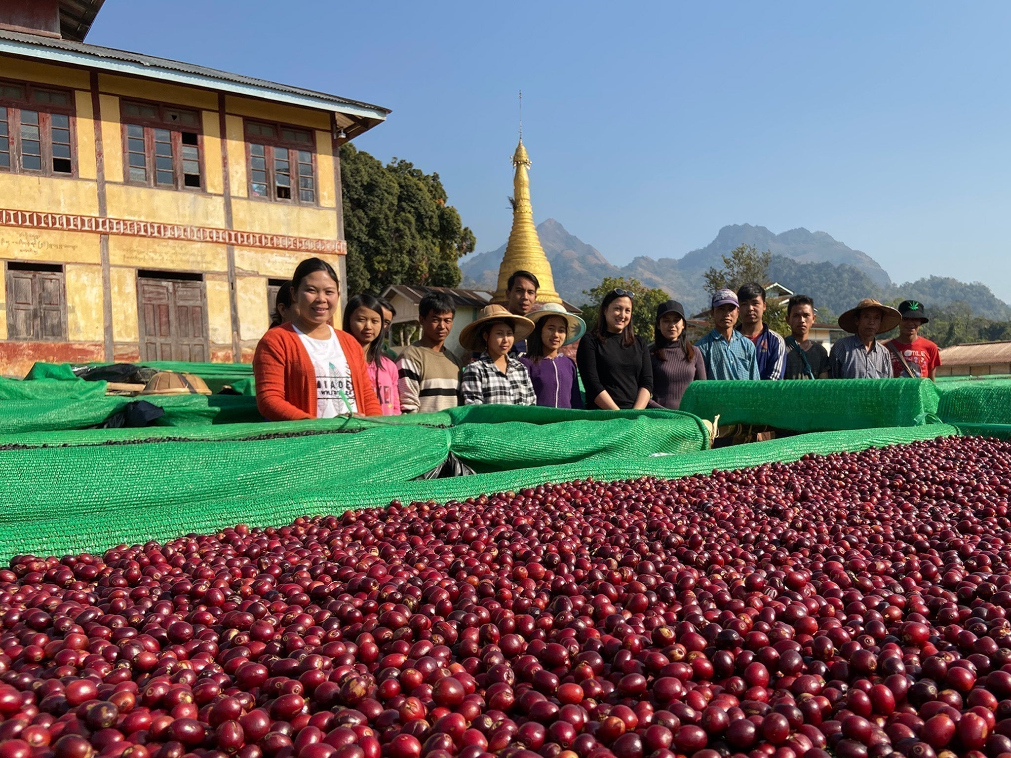 Myanmar coffee farmers
