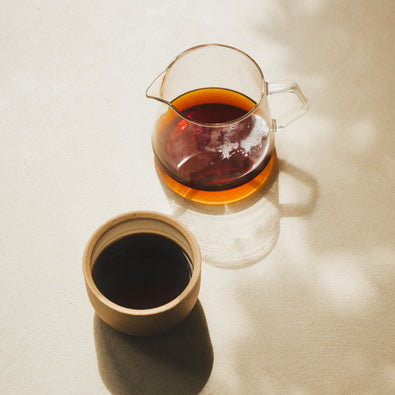 Origin 20 | Brewing Santa Elena