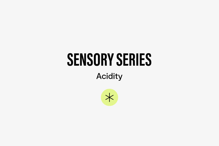 Sensory Series 02: What is Acidity in Coffee?