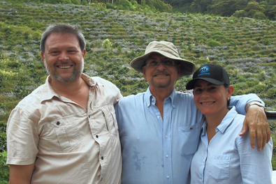 Honduras Coffee Guide