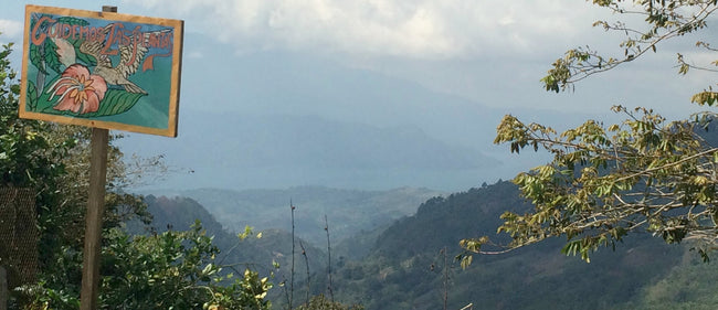 origin-coffee-journal-honduras