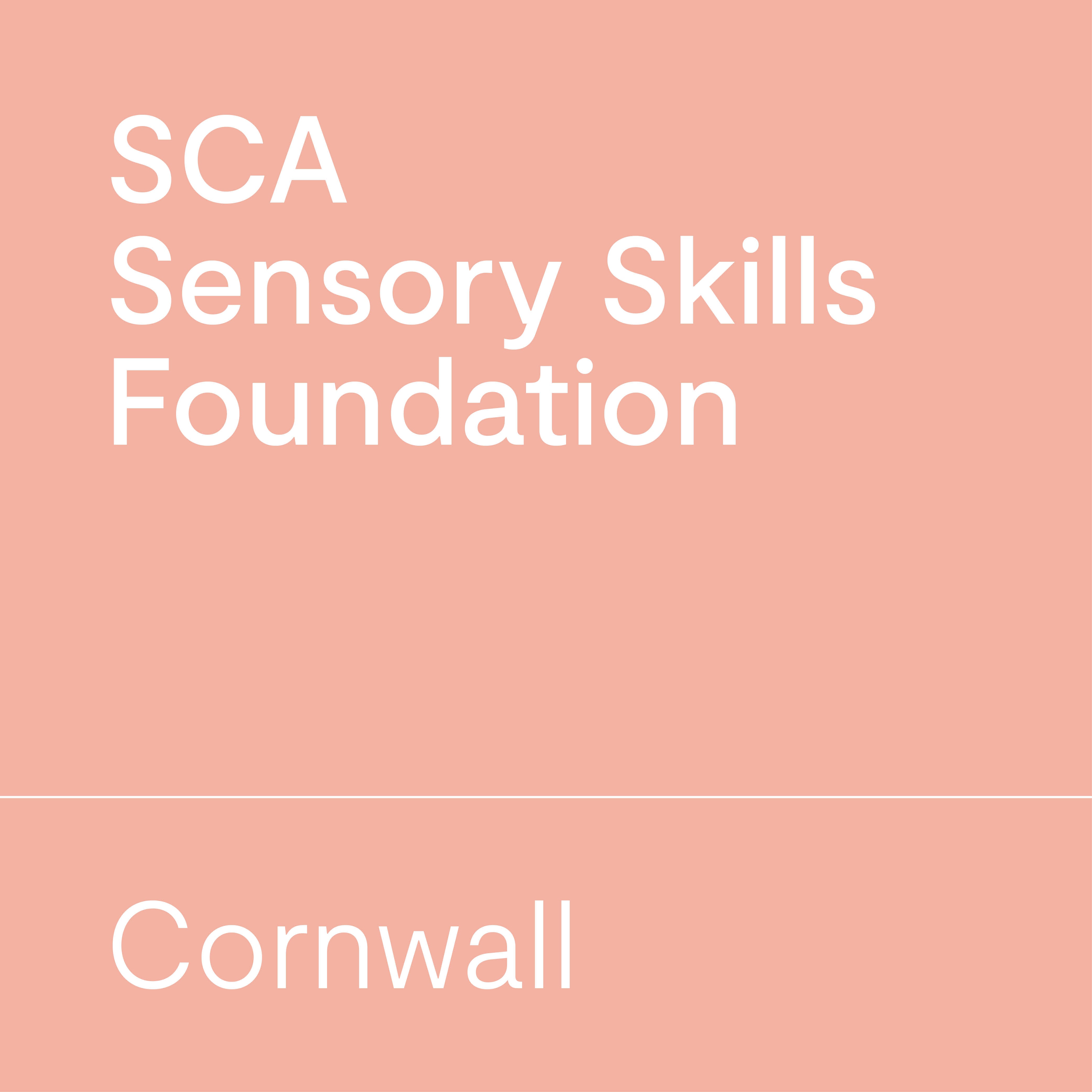 SCA Sensory Skills Foundation | Cornwall